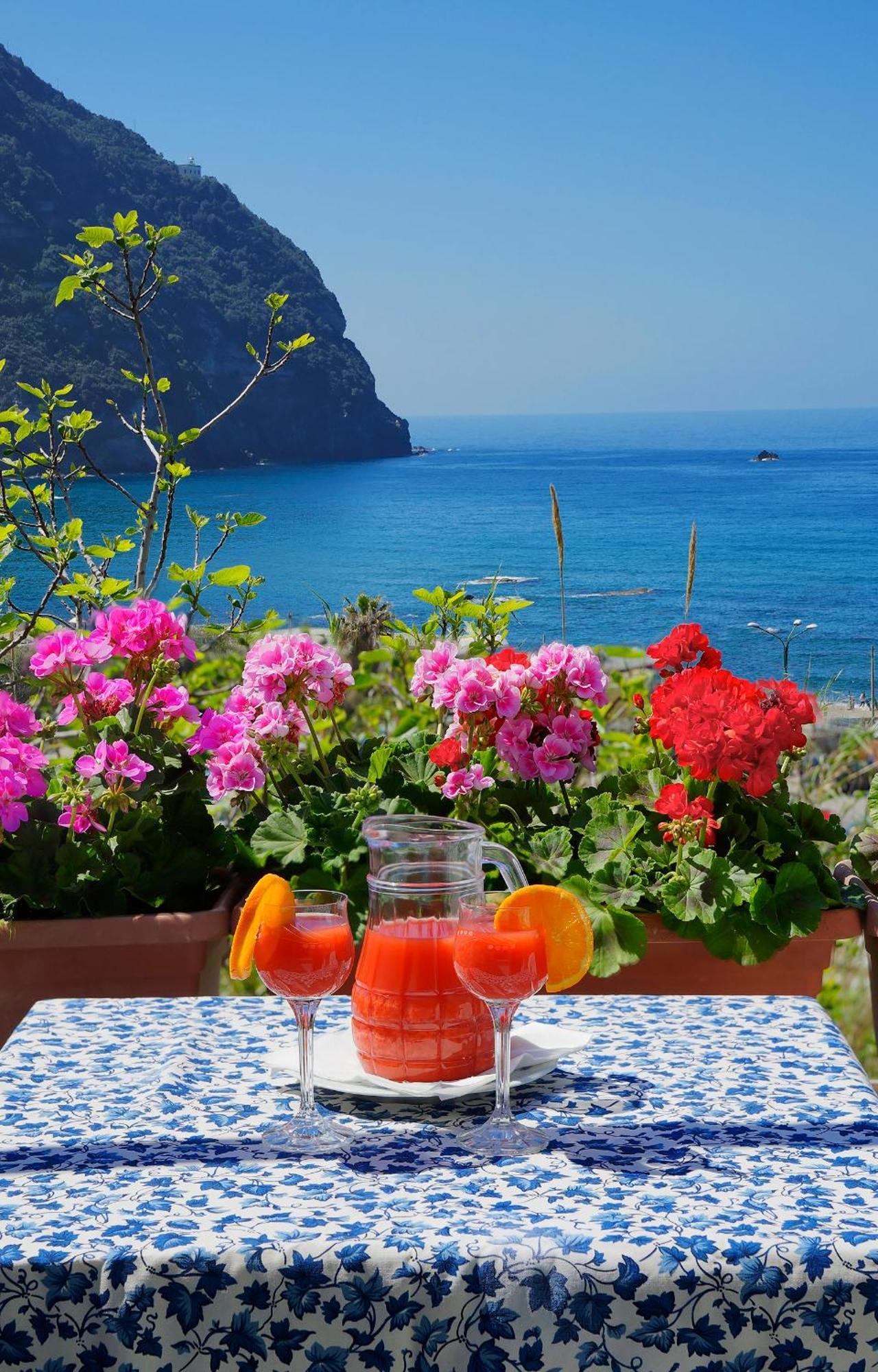 Hotel Casa Del Sole Forio di Ischia Екстериор снимка