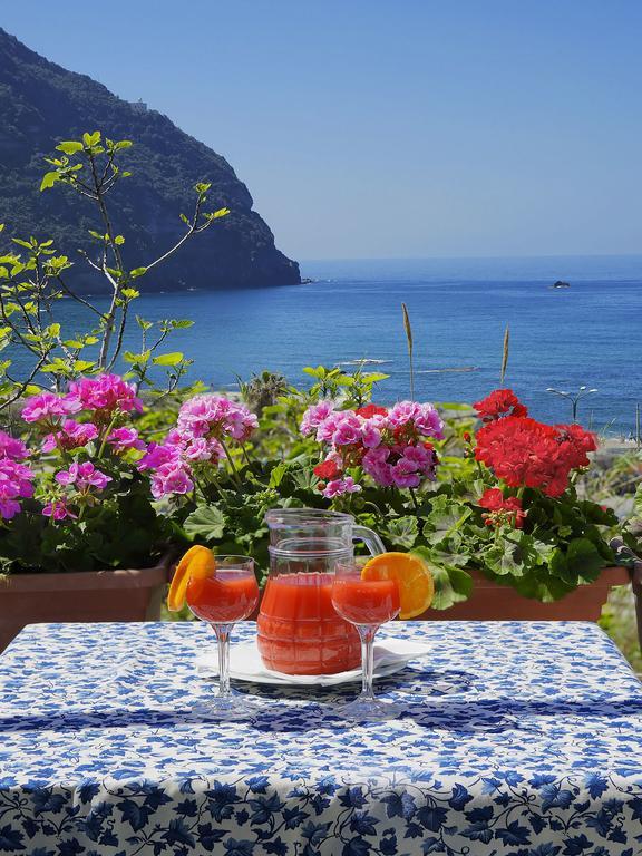 Hotel Casa Del Sole Forio di Ischia Екстериор снимка